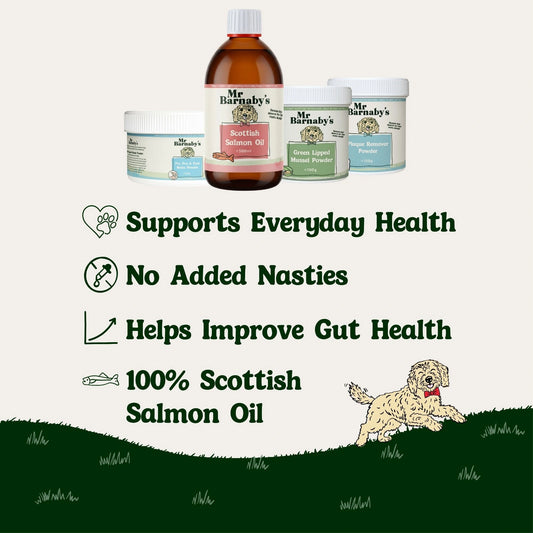 Senior Dog Supplements – Natural Daily Support Bundle