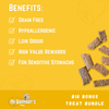 Big Bonus Treat Bundle
