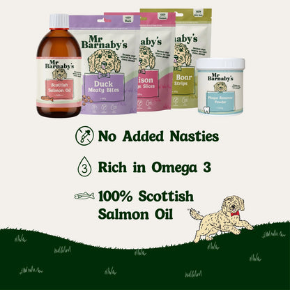 Everyday Wellbeing Bundle – Natural Support For Happy, Healthy Dogs