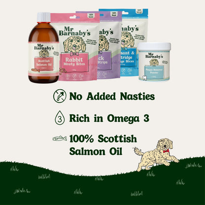 Natural Dog Starter Bundle – Everyday Treats & Support