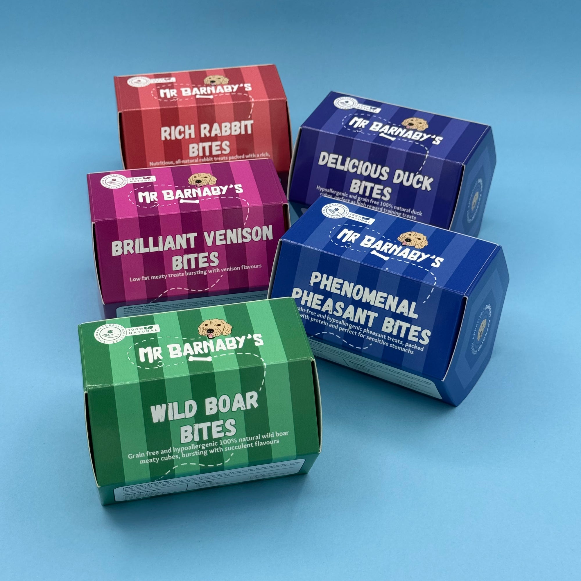 Meaty Bites Bundle (5 x 100g)