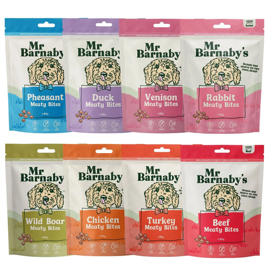 Natural Mixed Meaty Dog Treats – Air-Dried Training Bites