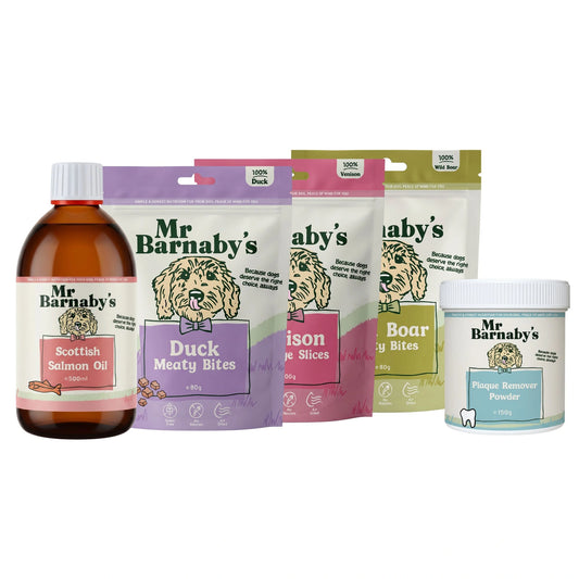 Natural Dog Wellness Bundle – Everyday Health Support