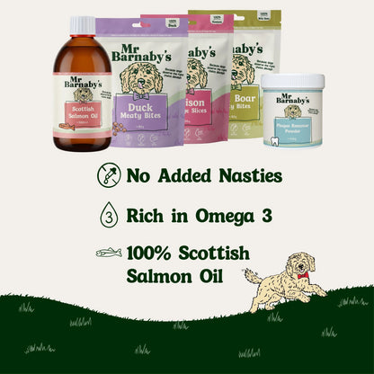 Natural Dog Wellness Bundle – Everyday Health Support
