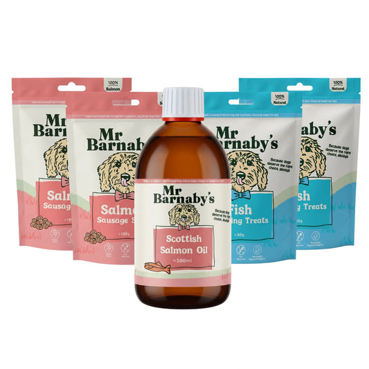 Puppy Skin & Coat Bundle – Natural Support For Growing Puppies