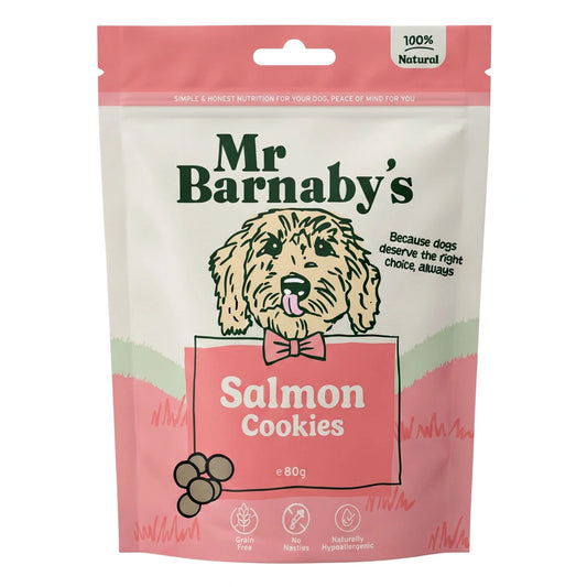 Natural Salmon Dog Treats – Grain Free Cookies 80g