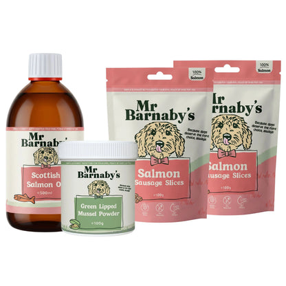 Senior Dog Joint Support Bundle – Natural Mobility Support