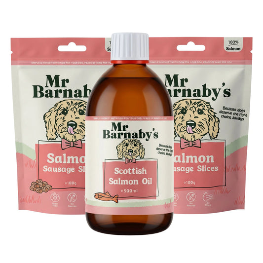 Senior Skin & Coat Bundle – Natural Support For Older Dogs