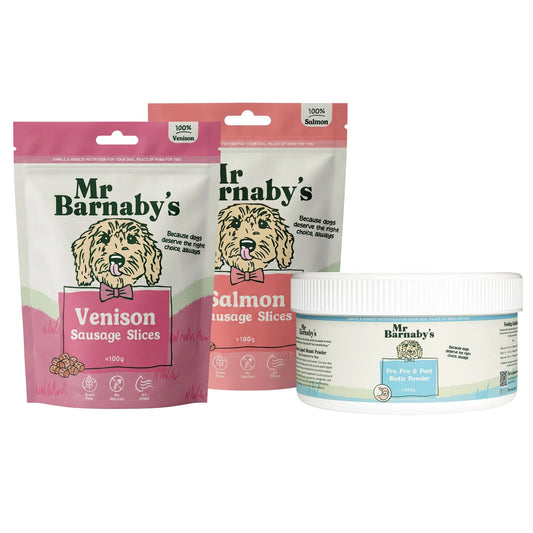 Sensitive Stomach Dog Bundle – Natural Digestive Support