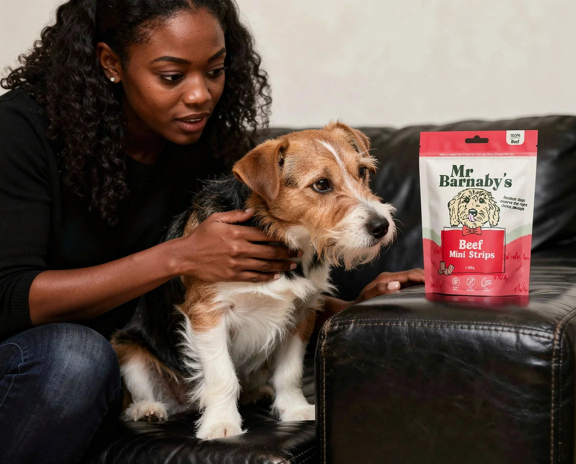 Natural Mixed Meat Dog Treats – Air-Dried Bites & Mini Strips