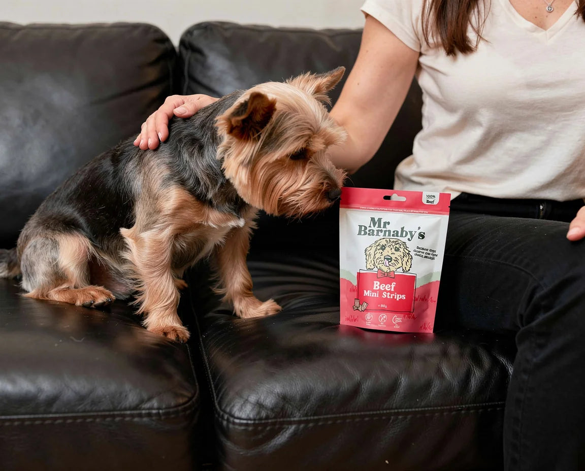 Natural Beef Dog Treats Bundle – Air-Dried Variety Pack