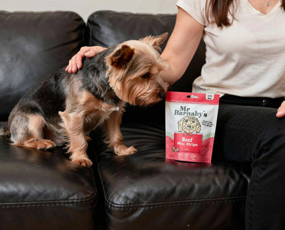 Natural Beef Dog Treats Bundle – Air-Dried Variety Pack