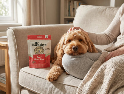 Natural Mixed Meaty Dog Treats – Air-Dried Training Bites