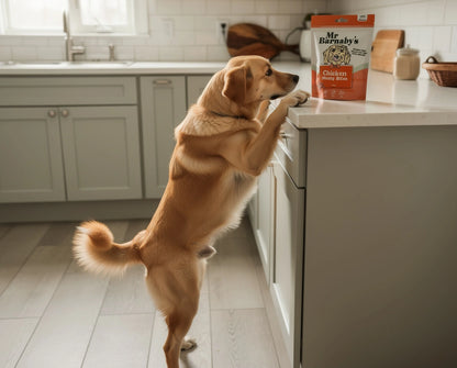 Natural Chicken Dog Treats – Air-Dried Bites 80g