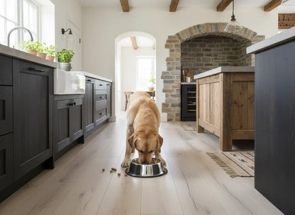 Dog eating from a bowl on a wooden floor in a modern kitchen with dark cabinets and a brick wall.