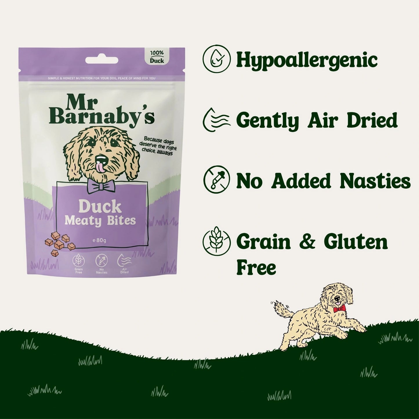 Natural Duck Dog Treats – Air-Dried Bites 80g