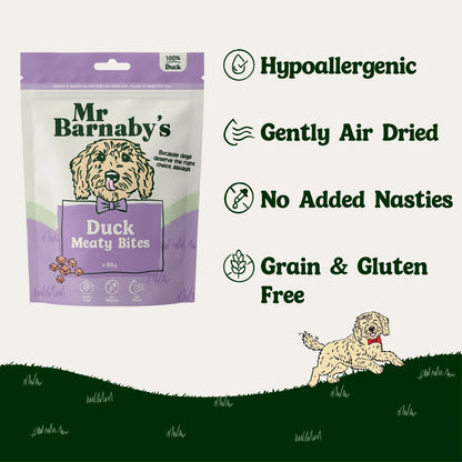 Natural Duck Dog Treats – Air-Dried Bites 80g