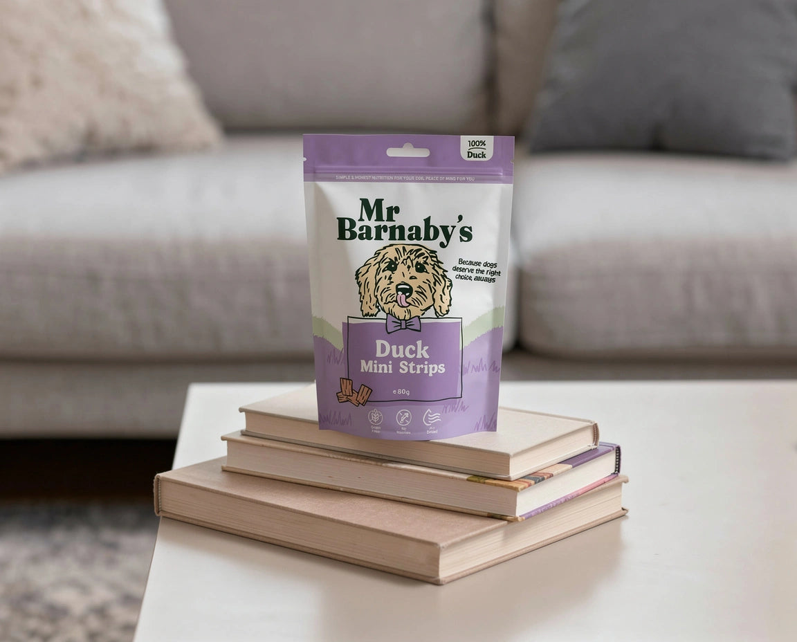 Natural Duck Dog Treats – Air-Dried Mini Strips 80g