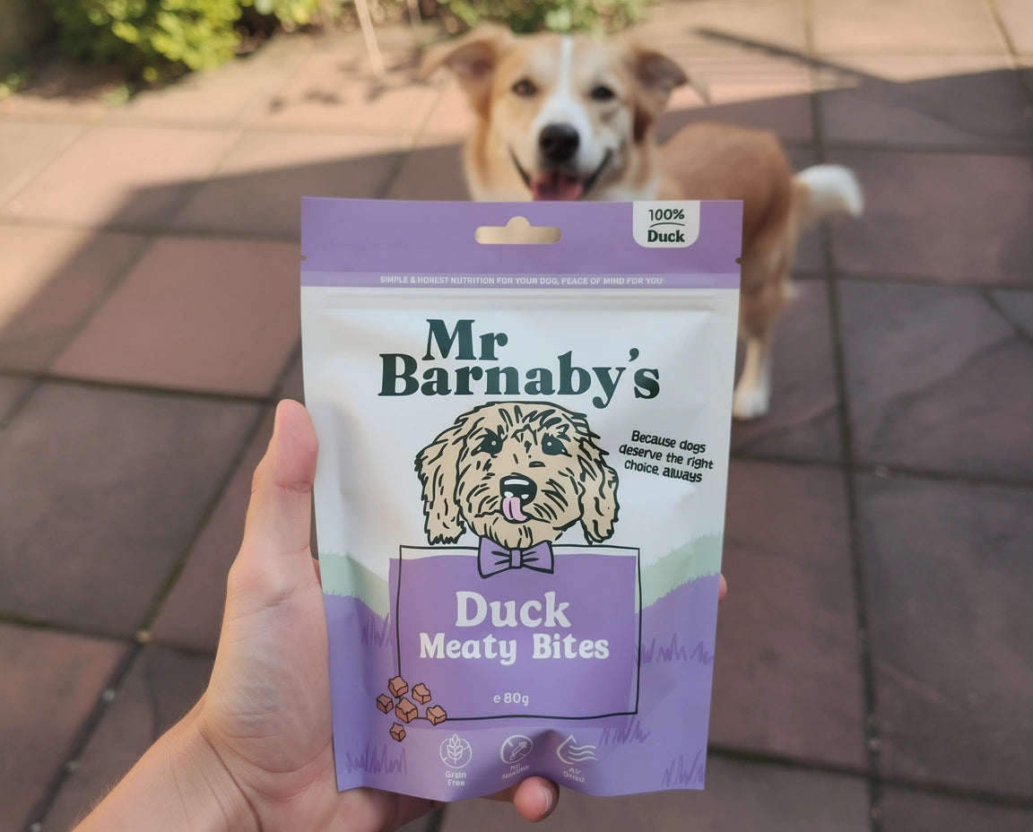 Natural Duck Dog Treats Bundle – Air-Dried Variety Pack