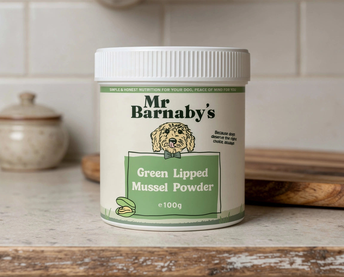 Dog Supplement Bundle – Natural Daily Support for Overall Health
