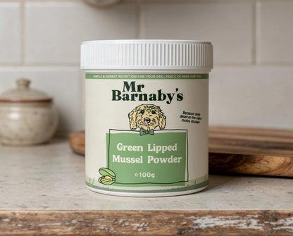 Dog Supplement Bundle – Natural Daily Support for Overall Health