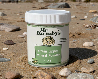 Senior Dog Supplements – Natural Daily Support Bundle