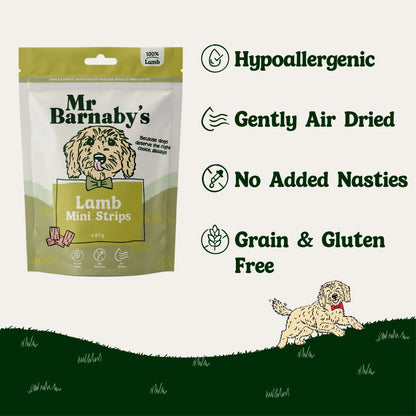 Natural Lamb Dog Treats – Air-Dried Mini Strips 80g