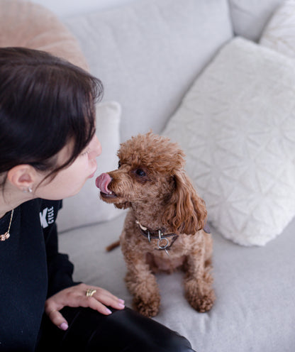 Puppy Training Treats Bundle – Natural Rewards & Daily Support