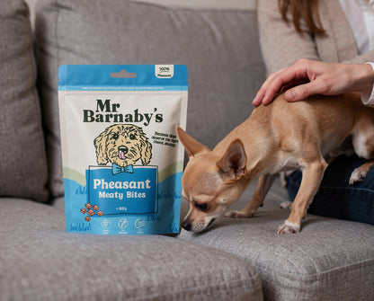 Natural Pheasant Dog Treats – Air-Dried Bites 80g