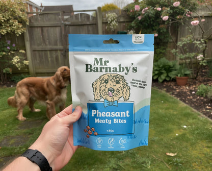 Meaty Dog Training Treats – Natural Air-Dried Bites