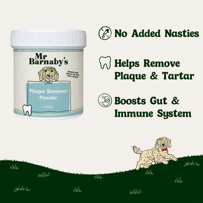 Dog Supplement Bundle – Natural Daily Support for Overall Health