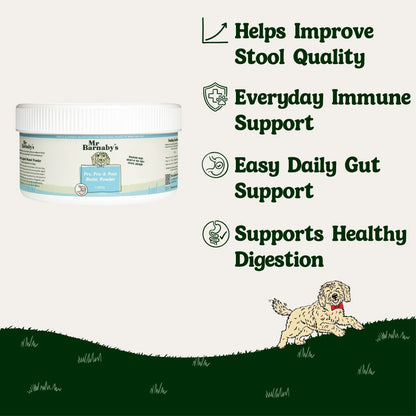 Dog Supplement Bundle – Natural Daily Support for Overall Health