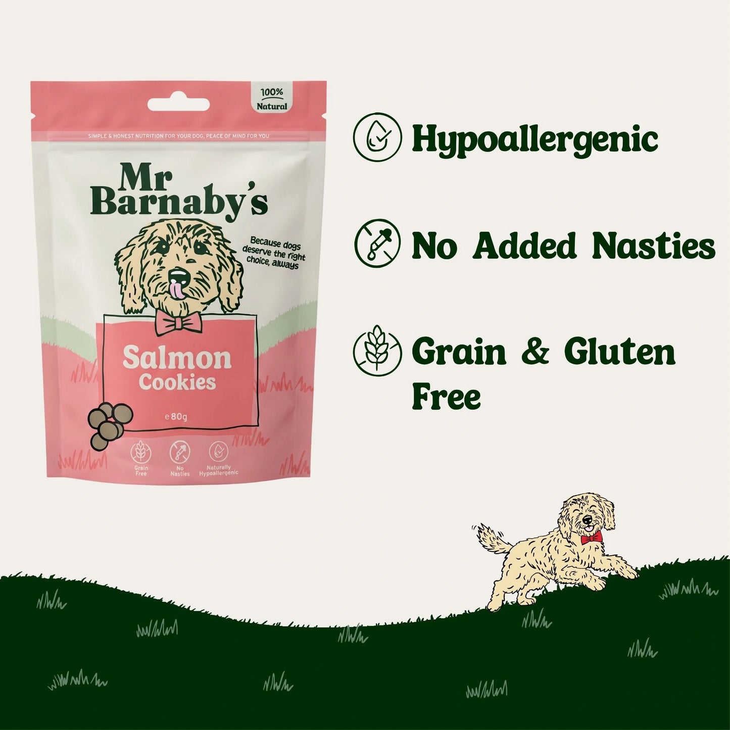 Natural Salmon Dog Treats – Grain Free Cookies 80g