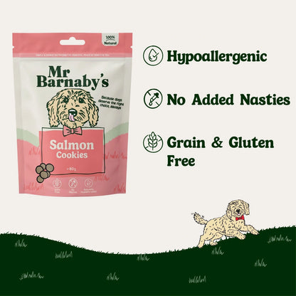Natural Salmon Dog Treats – Grain Free Cookies 80g
