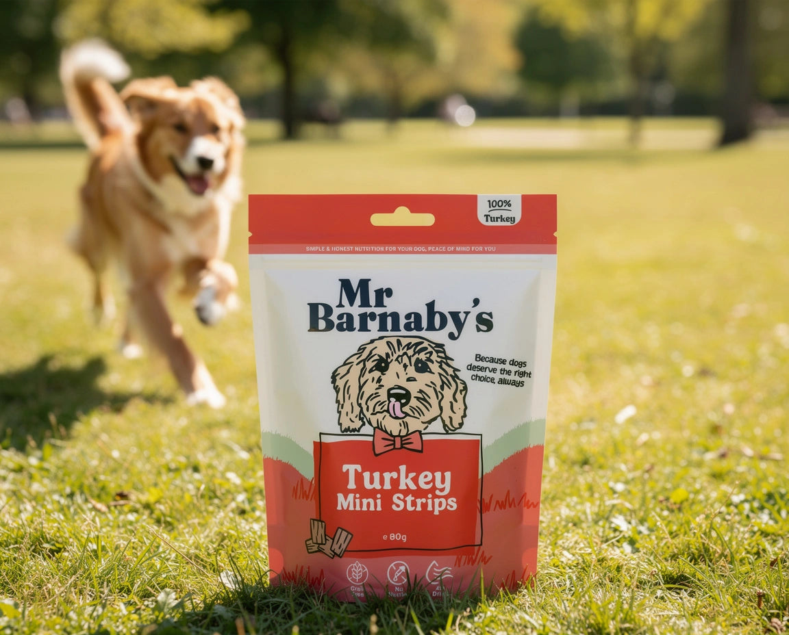Natural Mixed Meaty Dog Treats – Air-Dried Training Bites
