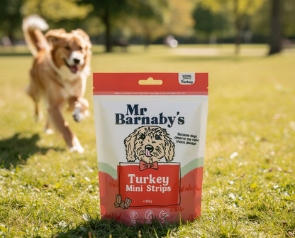 Natural Mixed Meaty Dog Treats – Air-Dried Training Bites