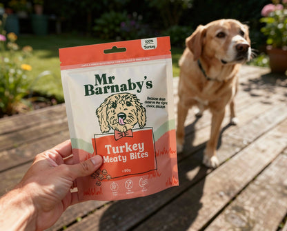 Natural Turkey Dog Treats – Air-Dried Training Rewards