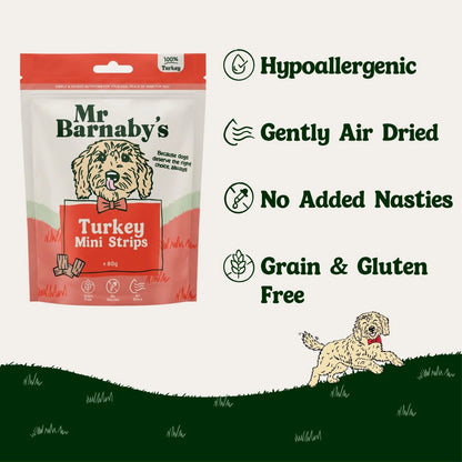Natural Turkey Dog Treats – Air-Dried Mini Strips 80g
