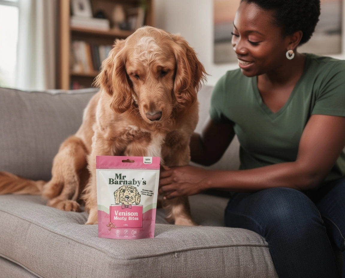 Meaty Dog Training Treats – Natural Air-Dried Bites