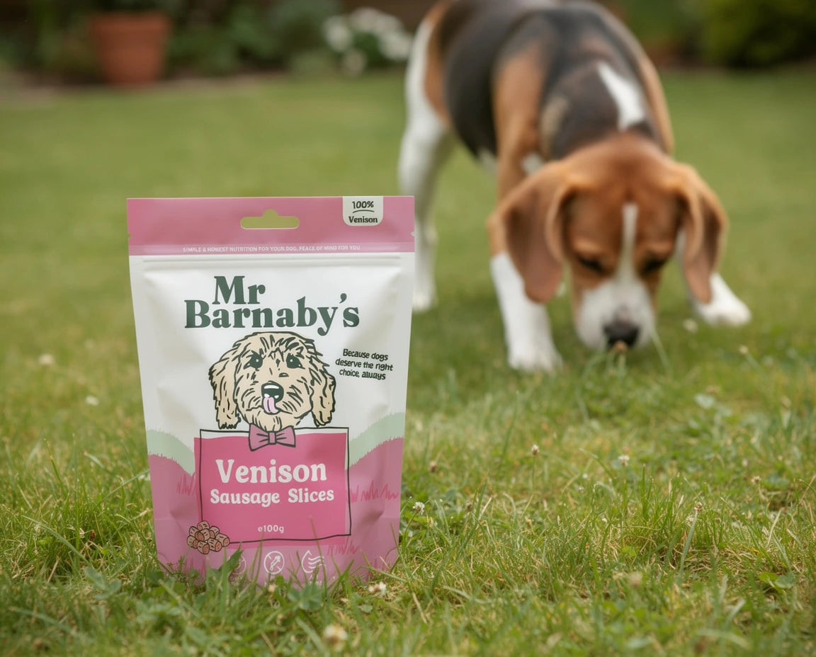 Natural Venison Dog Treats – Air-Dried Slices 100g