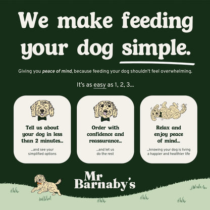 Advertisement for Mr Barnaby's dog food with text and illustrations on a green background