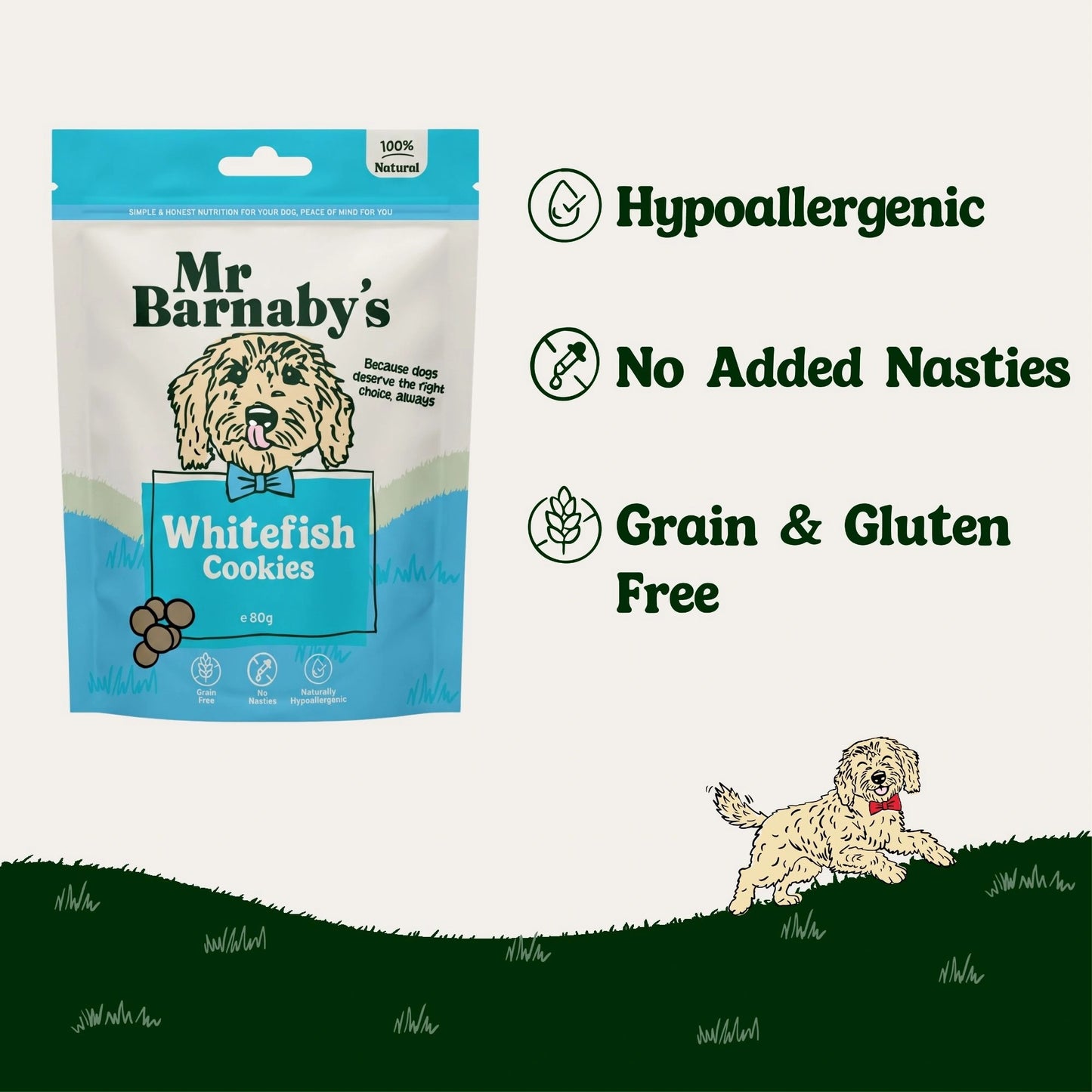 Natural Fish Dog Treats – Grain Free Cookies 80g